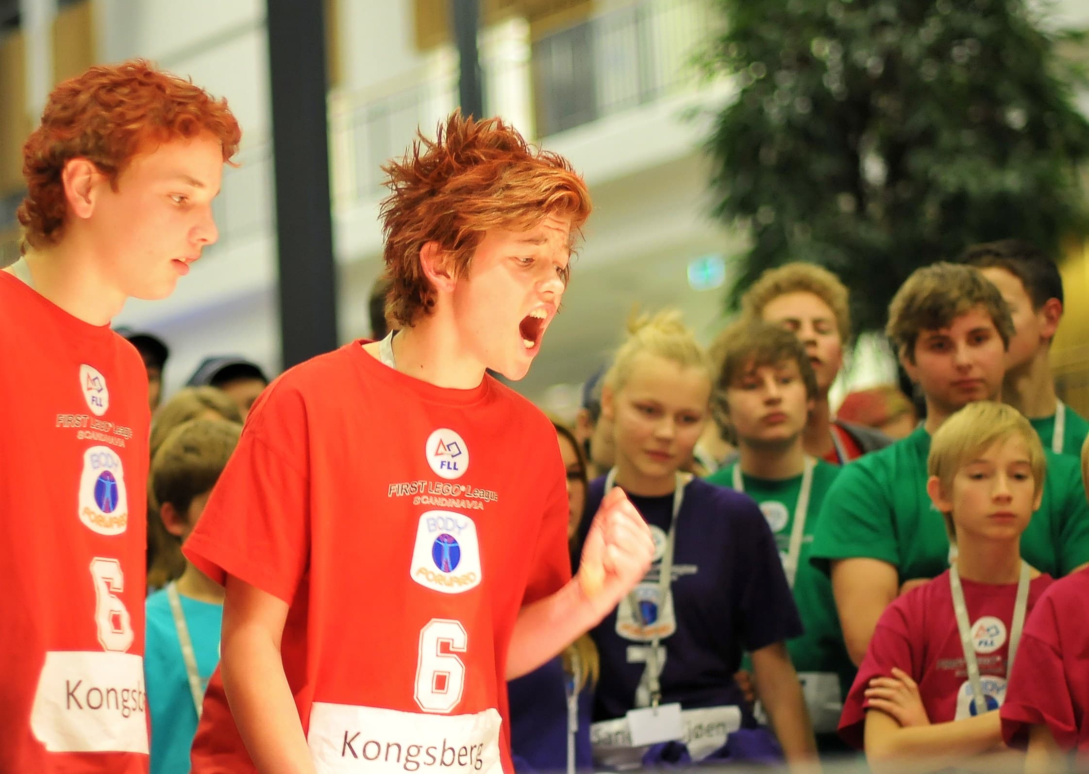 Skandinavisk finale 2010