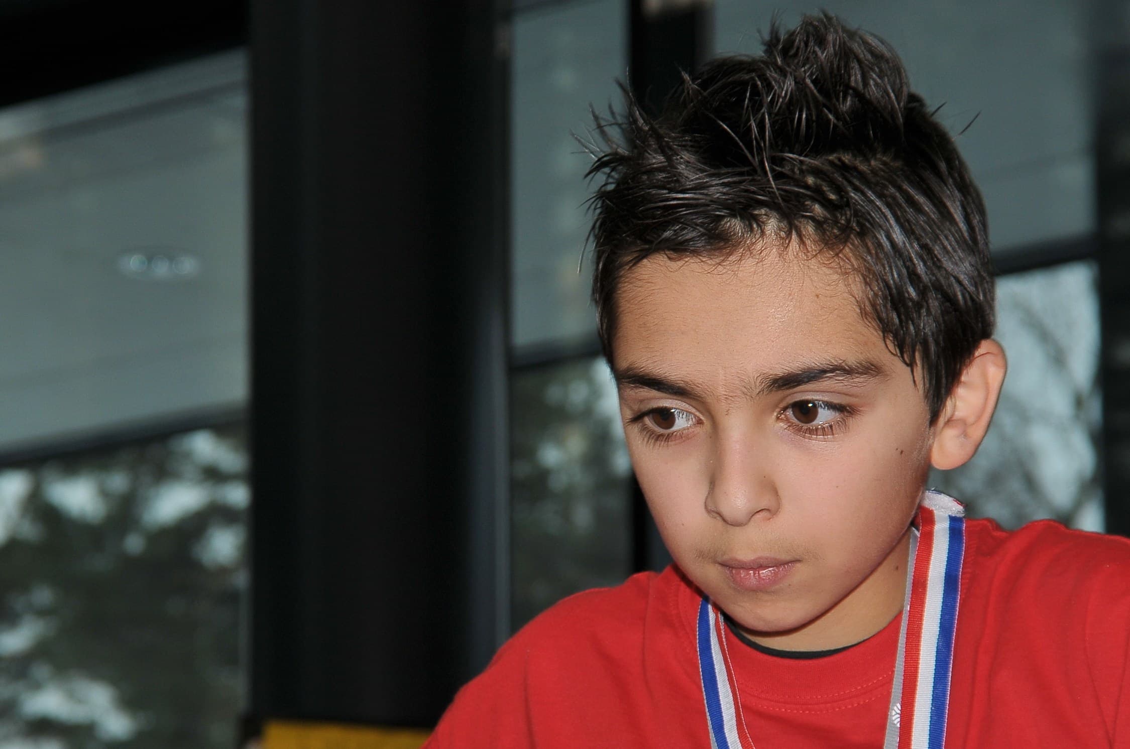 Skandinavisk finale 2010